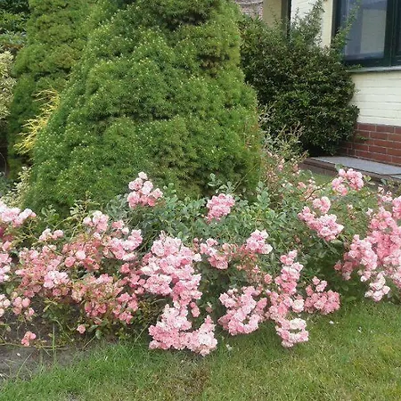 Alte Strasse Vakantiehuis *